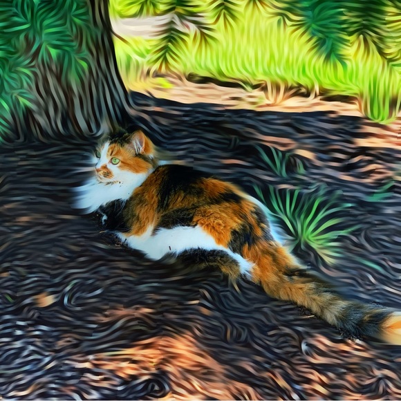 Meet your Posher, Terry - Picture 12 of 17